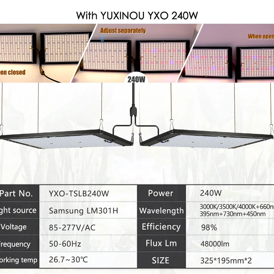 120W 240W Sam-ng LM301h Quantum LED lámpara de tablero de luz de cultivo IR UV fitoamplificador de espectro completo para plantas hidropónicas controlador MeanWell 11