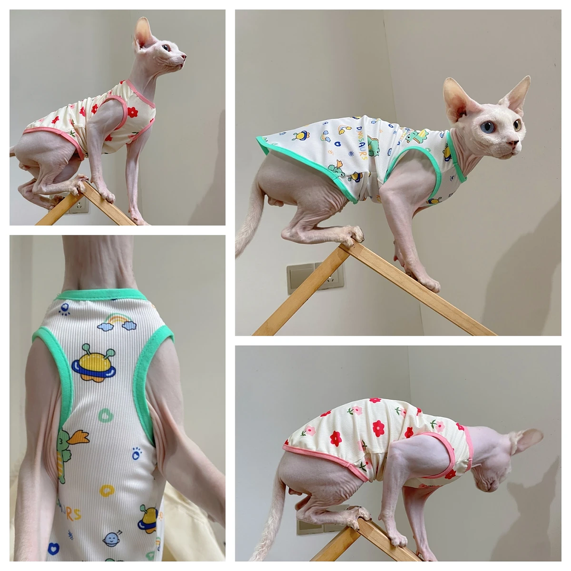 Moda Esfinge CAT cool Textile chaleco sin pelo ropa de gato Devin Rex cómodo abrigo de dibujos animados de verano y primavera ropa al aire libre artículos para mascotas 1