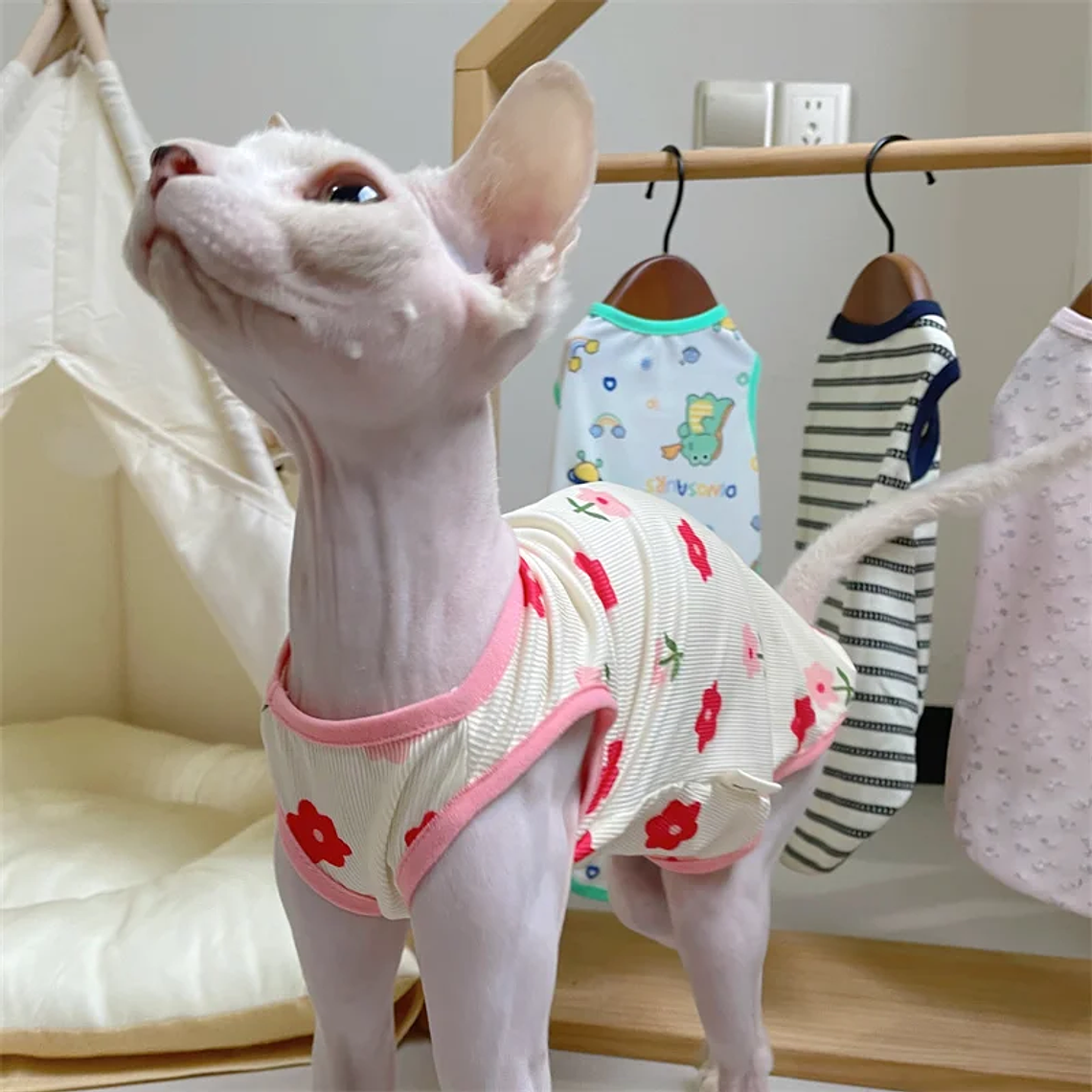 Moda Esfinge CAT cool Textile chaleco sin pelo ropa de gato Devin Rex cómodo abrigo de dibujos animados de verano y primavera ropa al aire libre artículos para mascotas 17