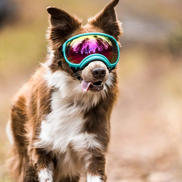 ATUBAN Gafas para perros Anti UV Fuerte resistencia al impacto Ajustable Elástico Cachorro Gafas para perros de razas grandes Gafas de sol transpirables para mascotas 3
