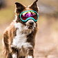 ATUBAN Gafas para perros Anti UV Fuerte resistencia al impacto Ajustable Elástico Cachorro Gafas para perros de razas grandes Gafas de sol transpirables para mascotas - thumbnail 3