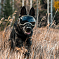 ATUBAN Gafas para perros Anti UV Fuerte resistencia al impacto Ajustable Elástico Cachorro Gafas para perros de razas grandes Gafas de sol transpirables para mascotas - thumbnail 5