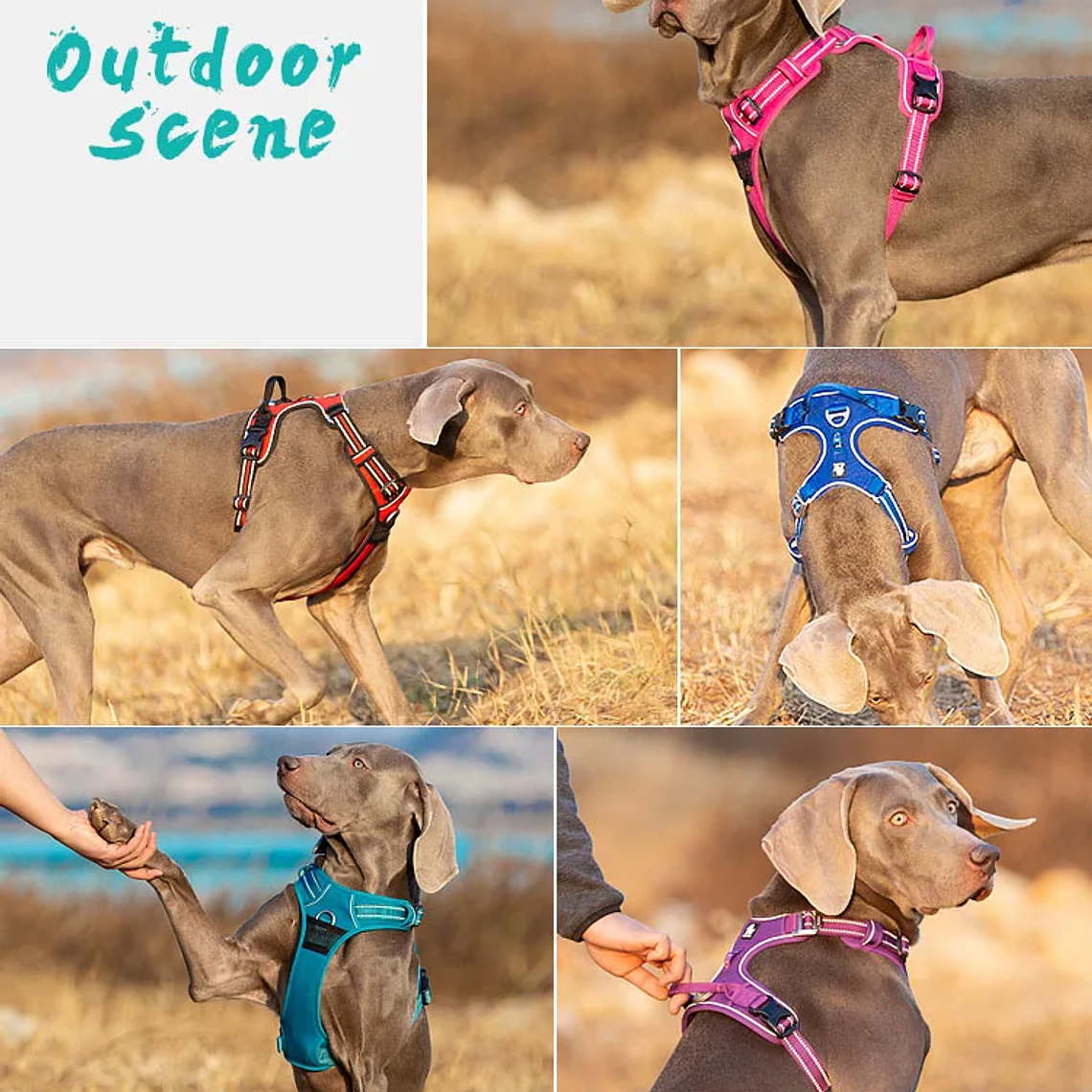 Truelove-arnés reflectante de nailon para perros, chaleco sin tirones, camiseta interior suave ajustable para perros medianos y grandes, para caminar y correr, TLH56512 26