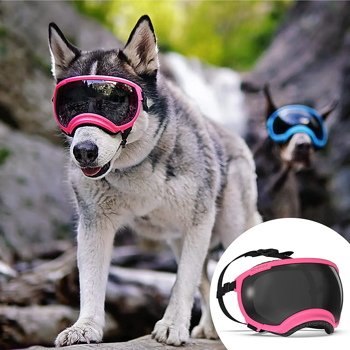 ATUBAN Gafas para perros Anti UV Fuerte resistencia al impacto Ajustable Elástico Cachorro Gafas para perros de razas grandes Gafas de sol transpirables para mascotas 38