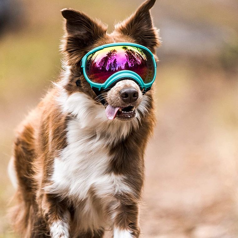 ATUBAN Gafas para perros Anti UV Fuerte resistencia al impacto Ajustable Elástico Cachorro Gafas para perros de razas grandes Gafas de sol transpirables para mascotas 39