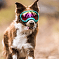 ATUBAN Gafas para perros Anti UV Fuerte resistencia al impacto Ajustable Elástico Cachorro Gafas para perros de razas grandes Gafas de sol transpirables para mascotas - thumbnail 39