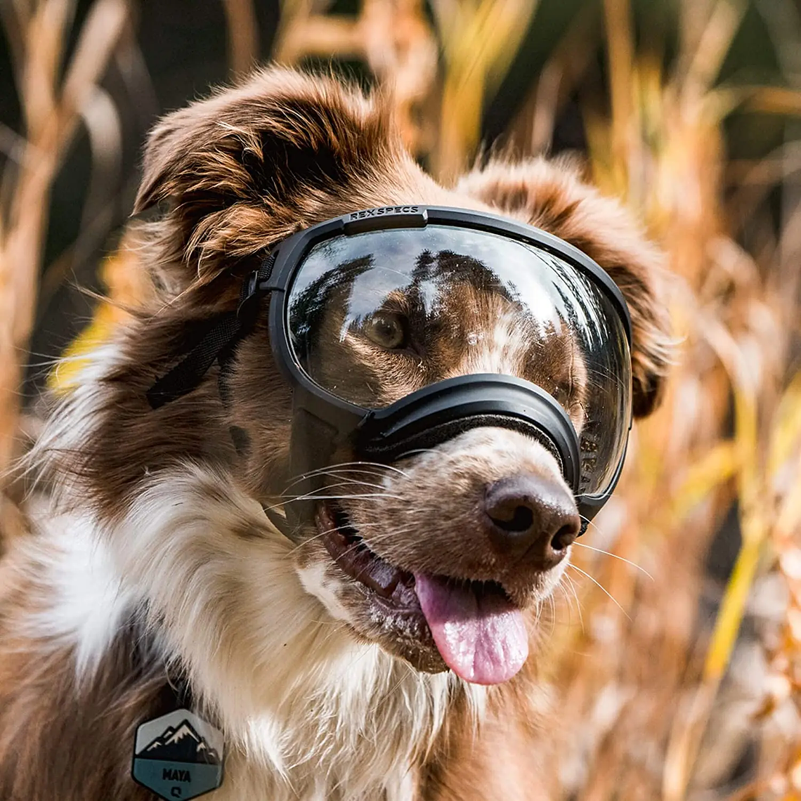 ATUBAN Gafas para perros Anti UV Fuerte resistencia al impacto Ajustable Elástico Cachorro Gafas para perros de razas grandes Gafas de sol transpirables para mascotas 43