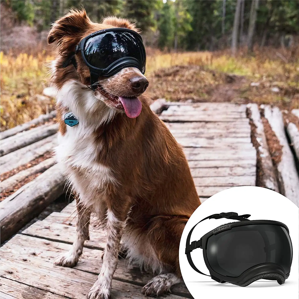 ATUBAN Gafas para perros Anti UV Fuerte resistencia al impacto Ajustable Elástico Cachorro Gafas para perros de razas grandes Gafas de sol transpirables para mascotas 46