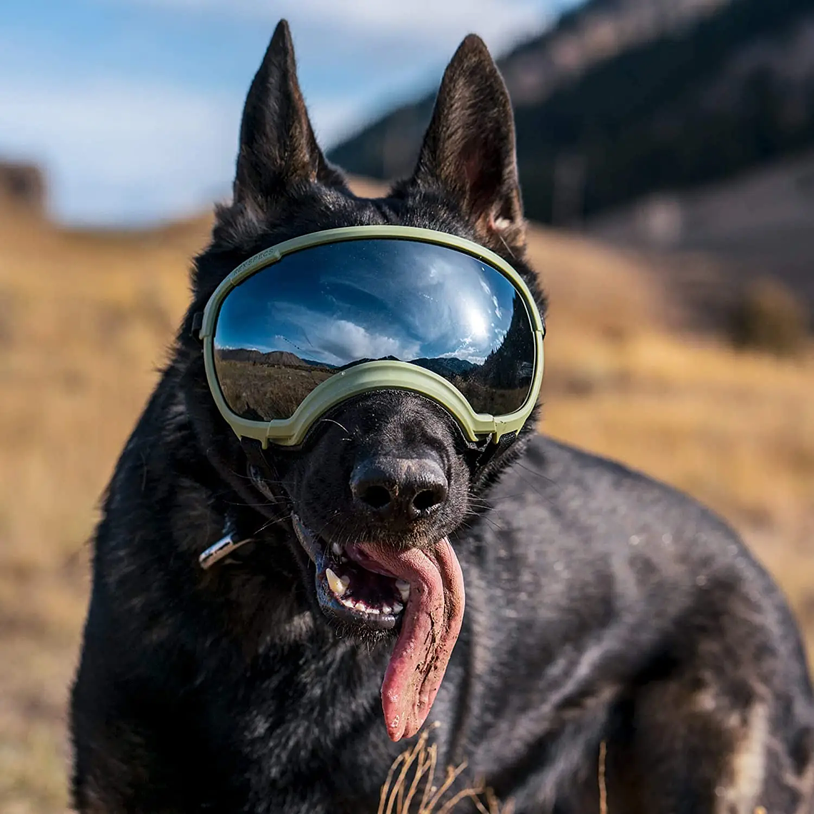 ATUBAN Gafas para perros Anti UV Fuerte resistencia al impacto Ajustable Elástico Cachorro Gafas para perros de razas grandes Gafas de sol transpirables para mascotas 47