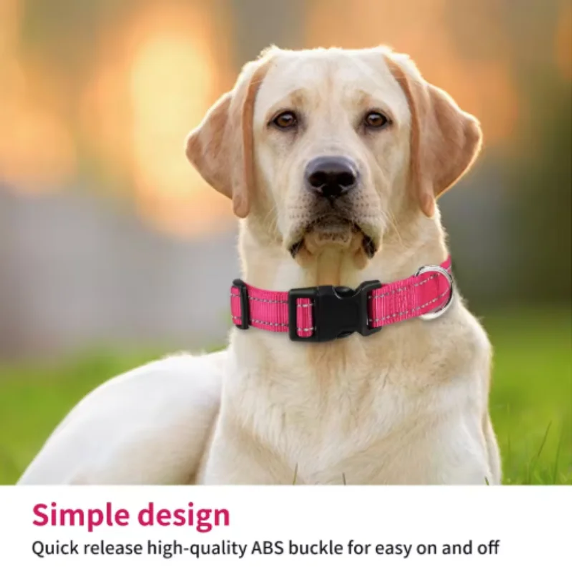 Correa Reflectante para Collar de Perro con Collar Ajustable de Nailon de Seguridad y Correa de Tracción para Mascotas, Apta para Mascotas Pequeñas y Medianas 3