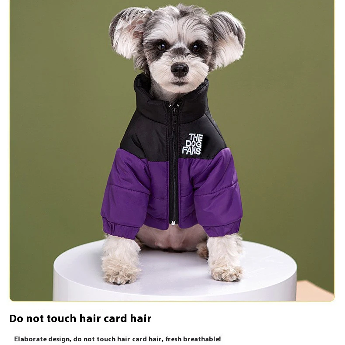 Moda ropa de abrigo para mascotas, moda bordado perro Otoño e Invierno ropa de algodón, ropa para mascotas, engrosada caliente abajo ropa 2