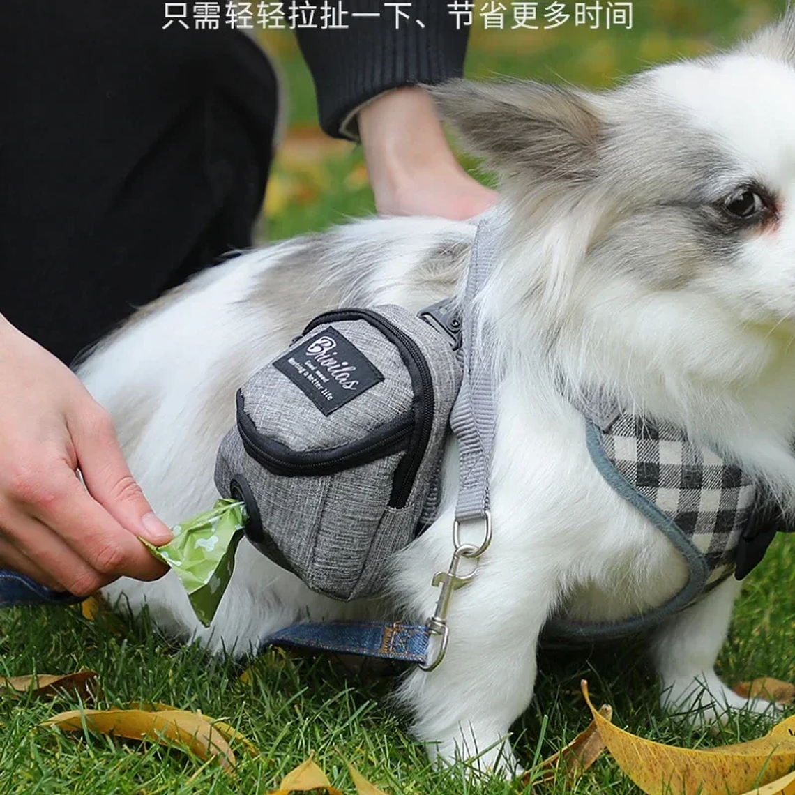 Bolsa de entrenamiento portátil para perros, bolsa de golosinas para perros al aire libre, bolsa de cintura de recompensa para aperitivos para cachorros, dispensador de bolsas para excrementos de per 5