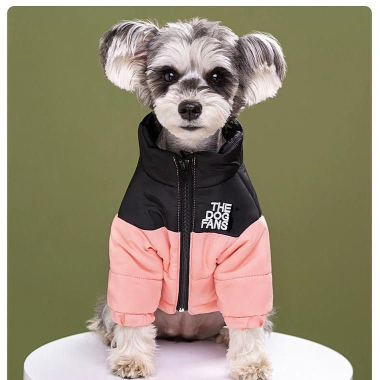 Moda ropa de abrigo para mascotas, moda bordado perro Otoño e Invierno ropa de algodón, ropa para mascotas, engrosada caliente abajo ropa 10