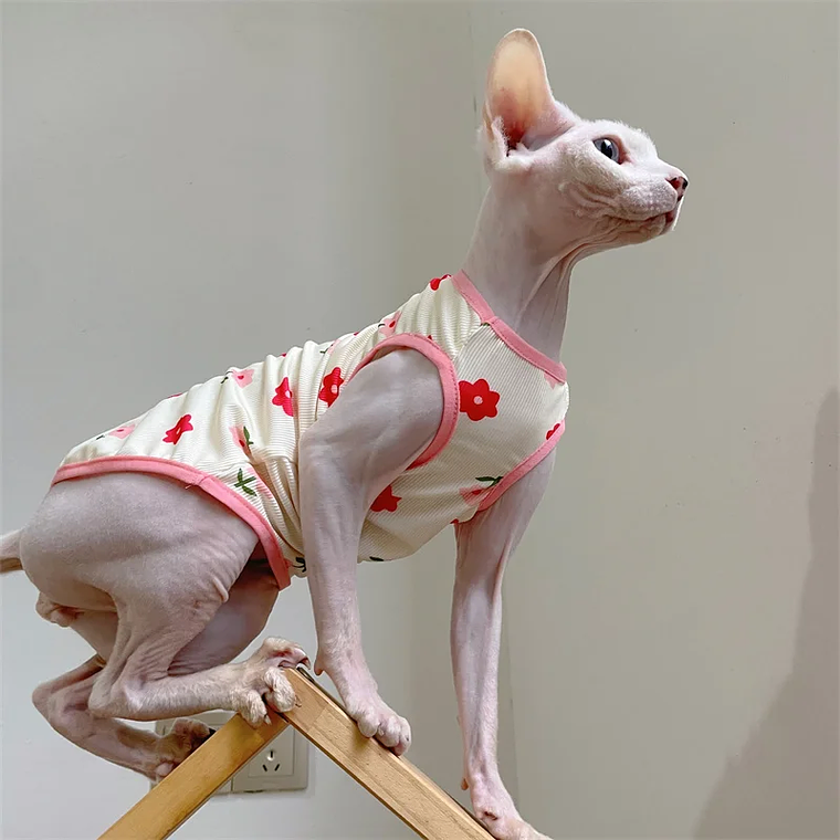 Moda Esfinge CAT cool Textile chaleco sin pelo ropa de gato Devin Rex cómodo abrigo de dibujos animados de verano y primavera ropa al aire libre artículos para mascotas 7