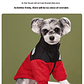 Moda ropa de abrigo para mascotas, moda bordado perro Otoño e Invierno ropa de algodón, ropa para mascotas, engrosada caliente abajo ropa - Miniatura 11