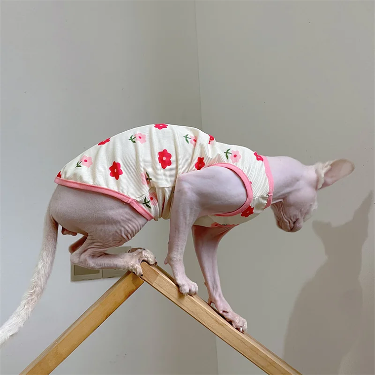 Moda Esfinge CAT cool Textile chaleco sin pelo ropa de gato Devin Rex cómodo abrigo de dibujos animados de verano y primavera ropa al aire libre artículos para mascotas 8