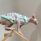 Moda Esfinge CAT cool Textile chaleco sin pelo ropa de gato Devin Rex cómodo abrigo de dibujos animados de verano y primavera ropa al aire libre artículos para mascotas - thumbnail 9