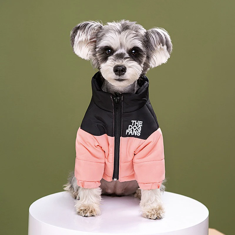 Moda ropa de abrigo para mascotas, moda bordado perro Otoño e Invierno ropa de algodón, ropa para mascotas, engrosada caliente abajo ropa 12