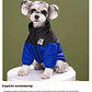 Moda ropa de abrigo para mascotas, moda bordado perro Otoño e Invierno ropa de algodón, ropa para mascotas, engrosada caliente abajo ropa - Miniatura 14