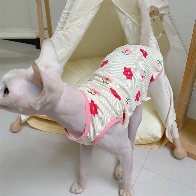 Moda Esfinge CAT cool Textile chaleco sin pelo ropa de gato Devin Rex cómodo abrigo de dibujos animados de verano y primavera ropa al aire libre artículos para mascotas 16