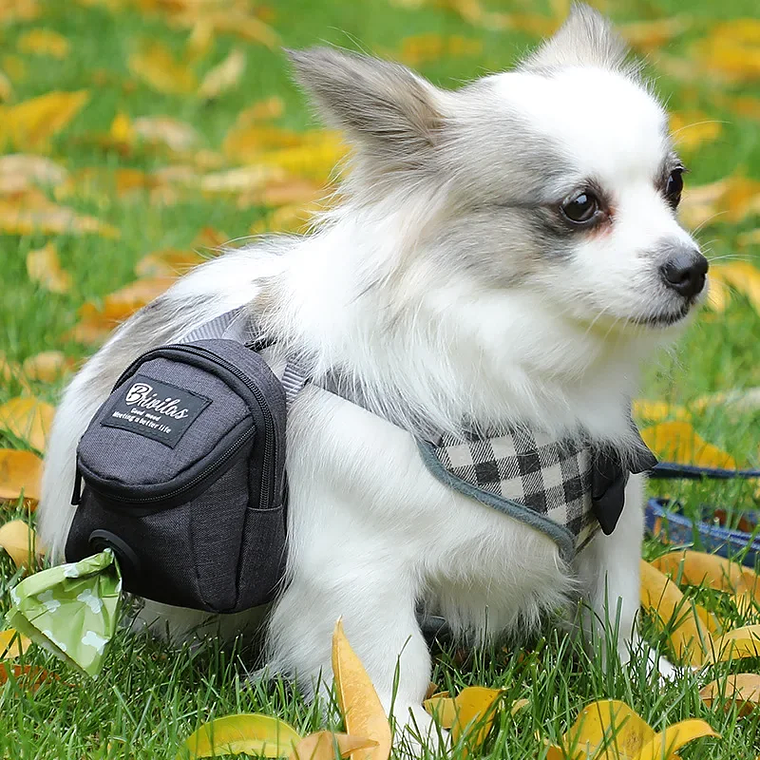 Bolsa de entrenamiento portátil para perros, bolsa de golosinas para perros al aire libre, bolsa de cintura de recompensa para aperitivos para cachorros, dispensador de bolsas para excrementos de per 19