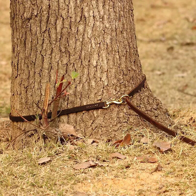 Correa de cuero Real para perro, Correa multifuncional para perro, Cable de amarre, manos libres para mascotas, caminar, correr, doble correa 20