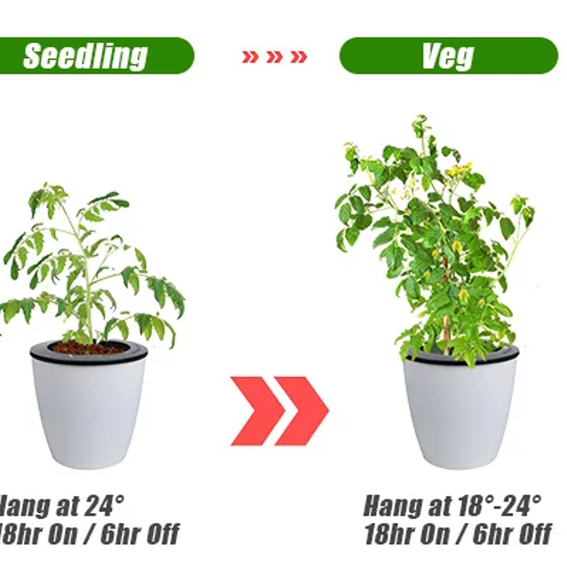 120W 240W Sam-ng LM301h Quantum LED lámpara de tablero de luz de cultivo IR UV fitoamplificador de espectro completo para plantas hidropónicas controlador MeanWell 17