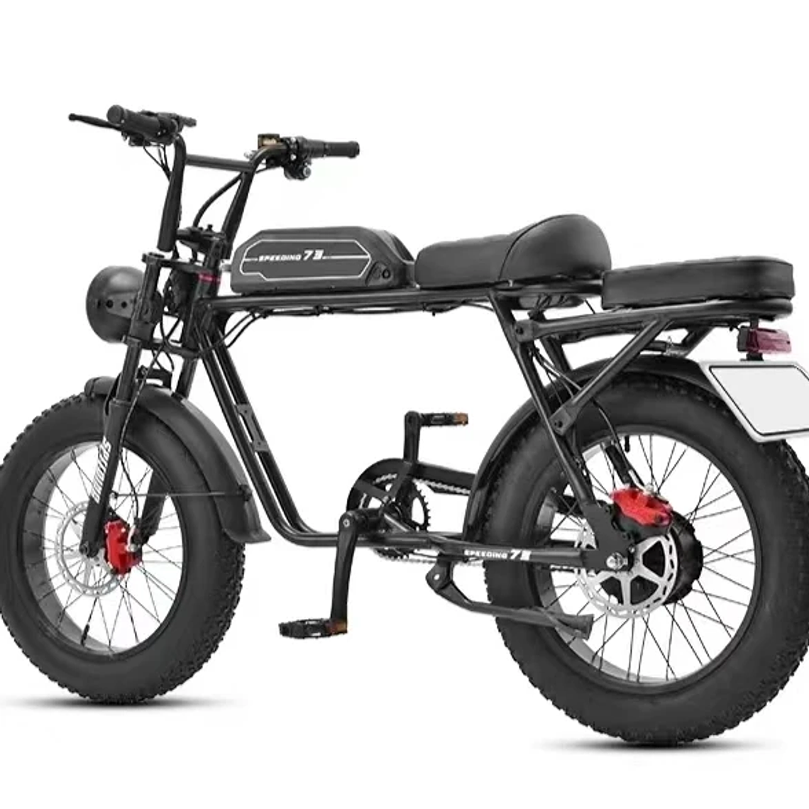 250W/350W Adult Lithium Battery Powered Electric Hybrid Bike LED 48V Aluminum Alloy SD Fat Tire 20