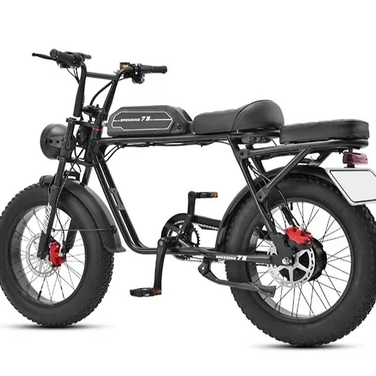250W/350W Adult Lithium Battery Powered Electric Hybrid Bike LED 48V Aluminum Alloy SD Fat Tire 20