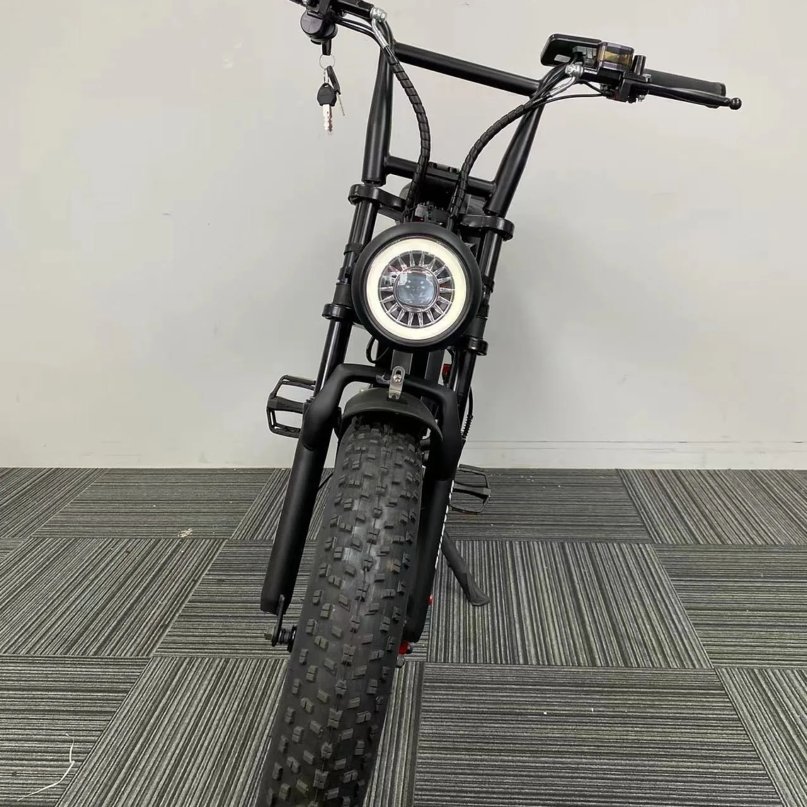 250W/350W Adult Lithium Battery Powered Electric Hybrid Bike LED 48V Aluminum Alloy SD Fat Tire 20
