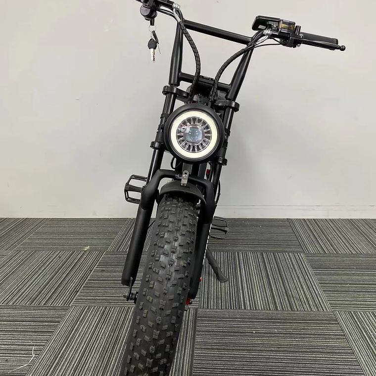 250W/350W Adult Lithium Battery Powered Electric Hybrid Bike LED 48V Aluminum Alloy SD Fat Tire 20