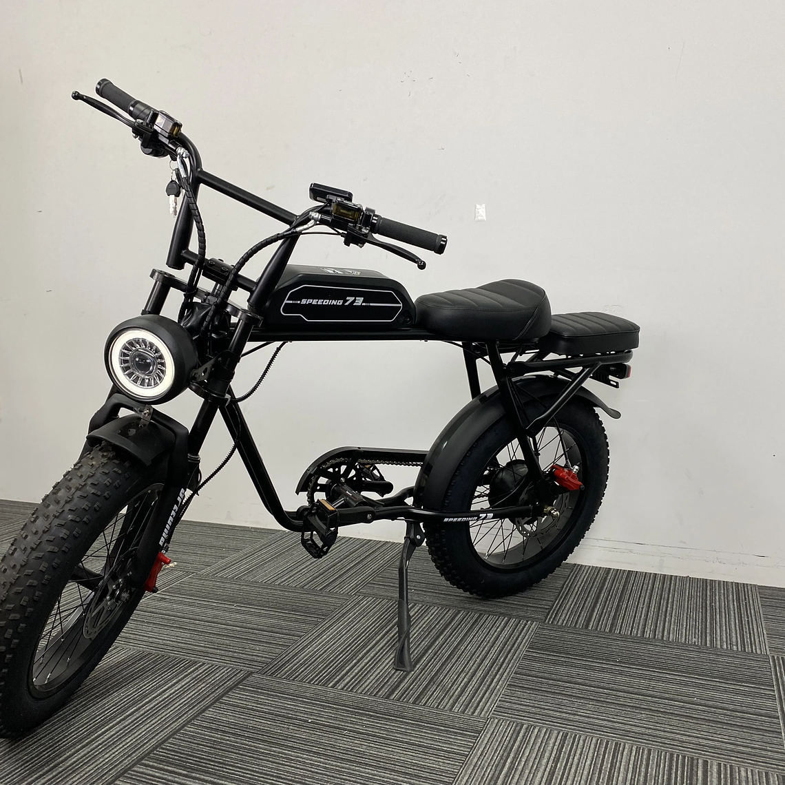 250W/350W Adult Lithium Battery Powered Electric Hybrid Bike LED 48V Aluminum Alloy SD Fat Tire 20