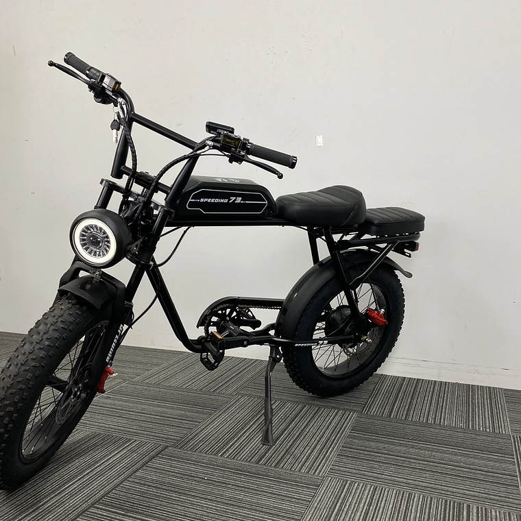 250W/350W Adult Lithium Battery Powered Electric Hybrid Bike LED 48V Aluminum Alloy SD Fat Tire 20