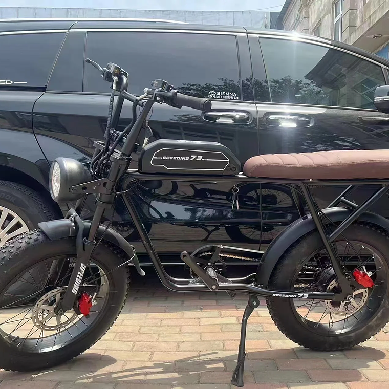 250W/350W Adult Lithium Battery Powered Electric Hybrid Bike LED 48V Aluminum Alloy SD Fat Tire 20