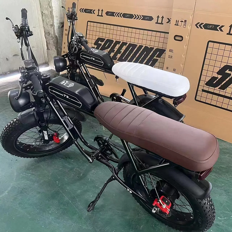 250W/350W Adult Lithium Battery Powered Electric Hybrid Bike LED 48V Aluminum Alloy SD Fat Tire 20