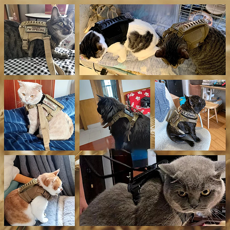 Arnés táctico para gatos con 9 parches, correas para chaleco para cachorros y perros pequeños con asa, arneses de entrenamiento, accesorios ajustables para mascotas 6