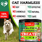 FCJ Salmon Fish Taste Chewable Pills for Cats Revolution Oral Flea Treatment Natural Pest Control Insect Repellents CANNOT Be - thumbnail 4