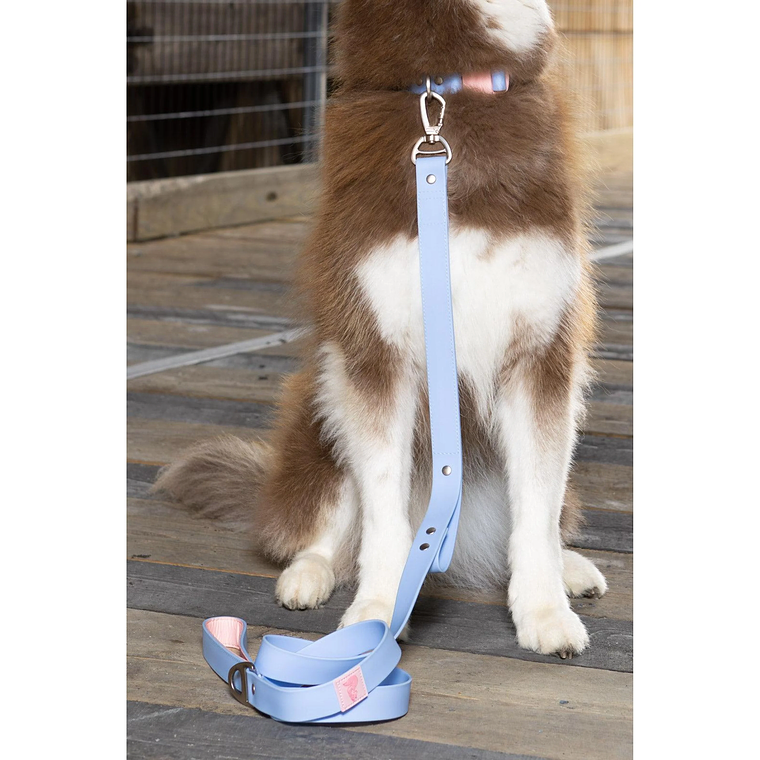 TD Blue Sky Luxury Dog Collar Leash Waterproof Orchid Print Durable Nylon and Silicone Personalized 5m Walk Harness 1