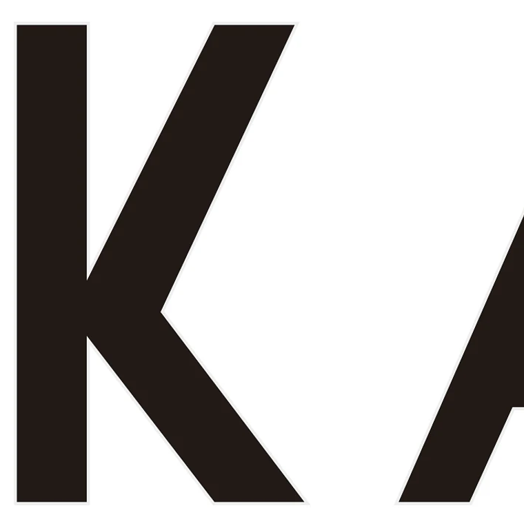 Sokani X100 Luz LED bicolor para vídeo, iluminación de montaje Bowens para fotografía, grabación de vídeo, disparo al aire libre, X100, 100W, RGB 21