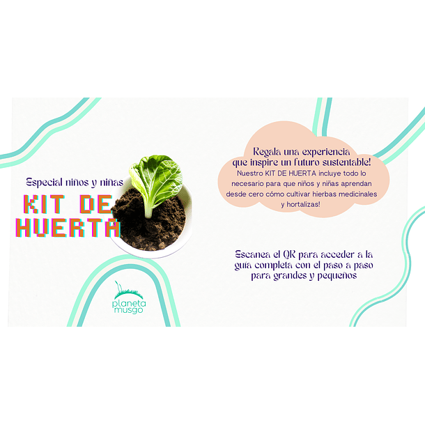 Kit de Huerta para Niñxs 1