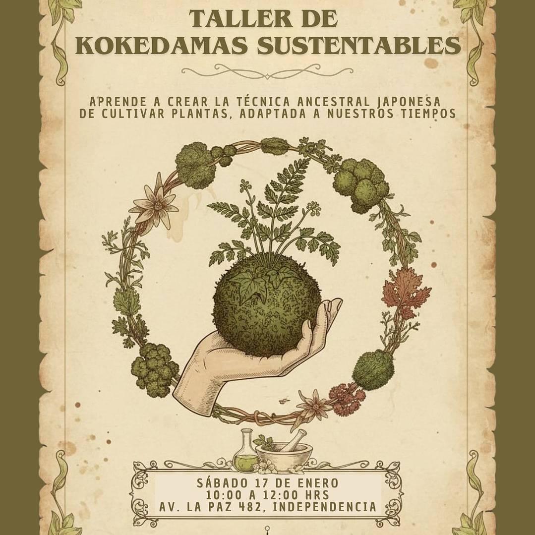 Taller de Kokedamas Sustentables - Sábado 17 de enero 2026 1