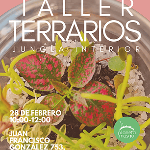 Taller de Terrarios SÁBADO 28 FEBRERO