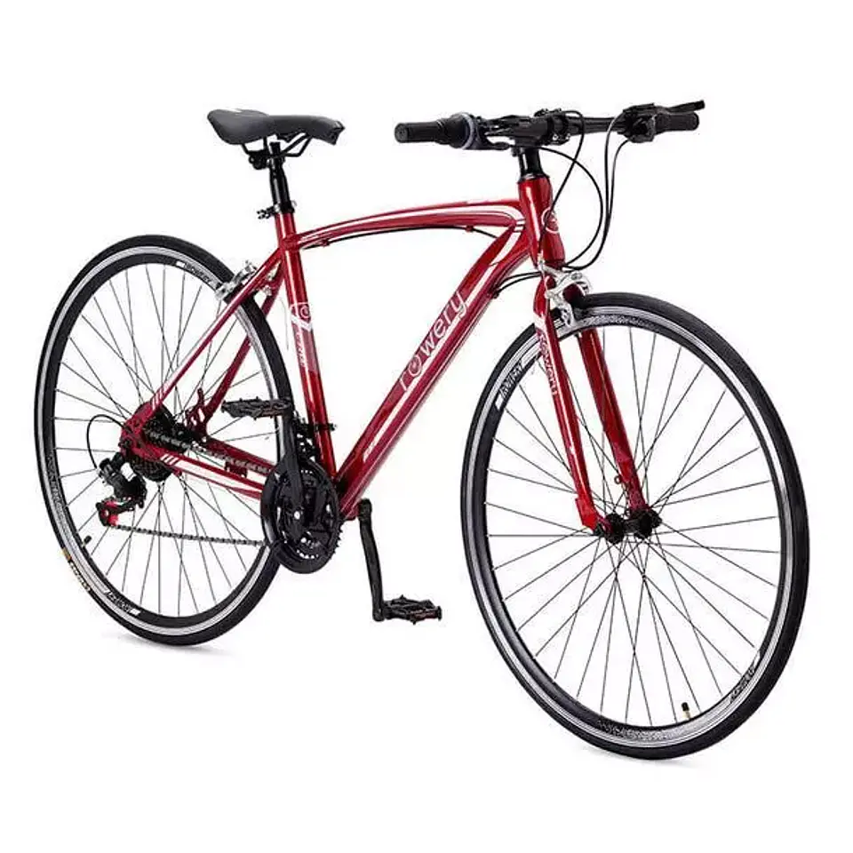 Bicicleta Urbana Rowery 1