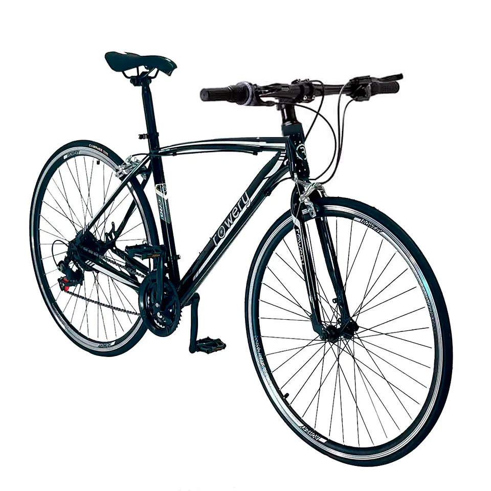 Bicicleta Urbana Rowery 2