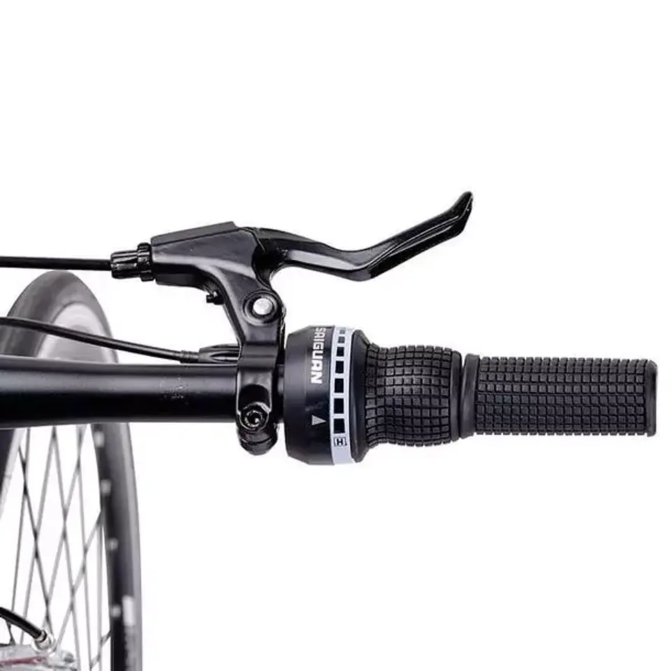 Bicicleta Urbana Rowery 3