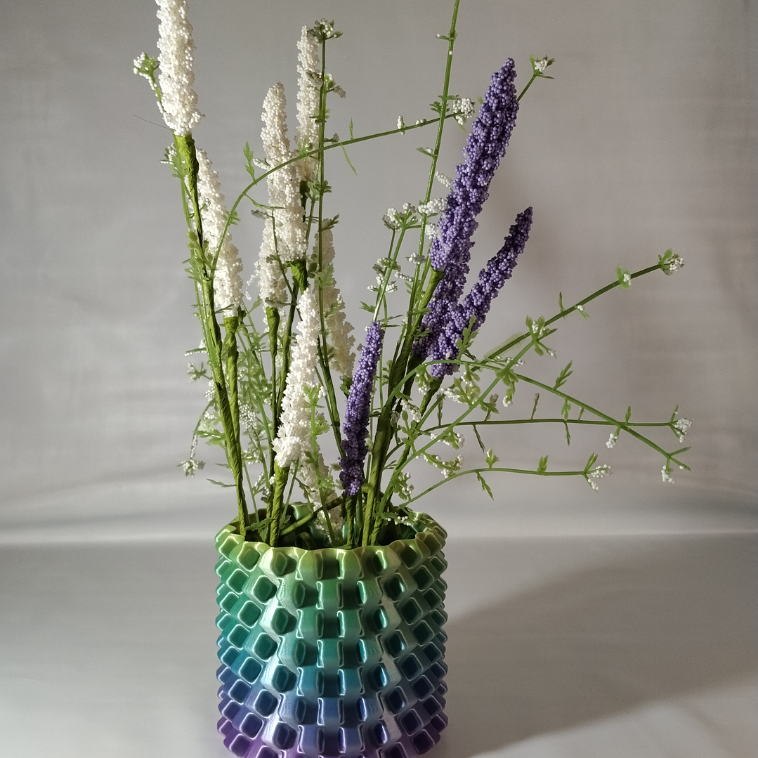 Nexus Vaze Rainbow  2