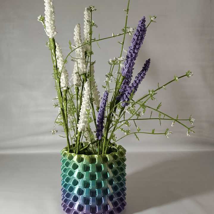 Nexus Vaze Rainbow  2