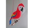 Guacamaya 