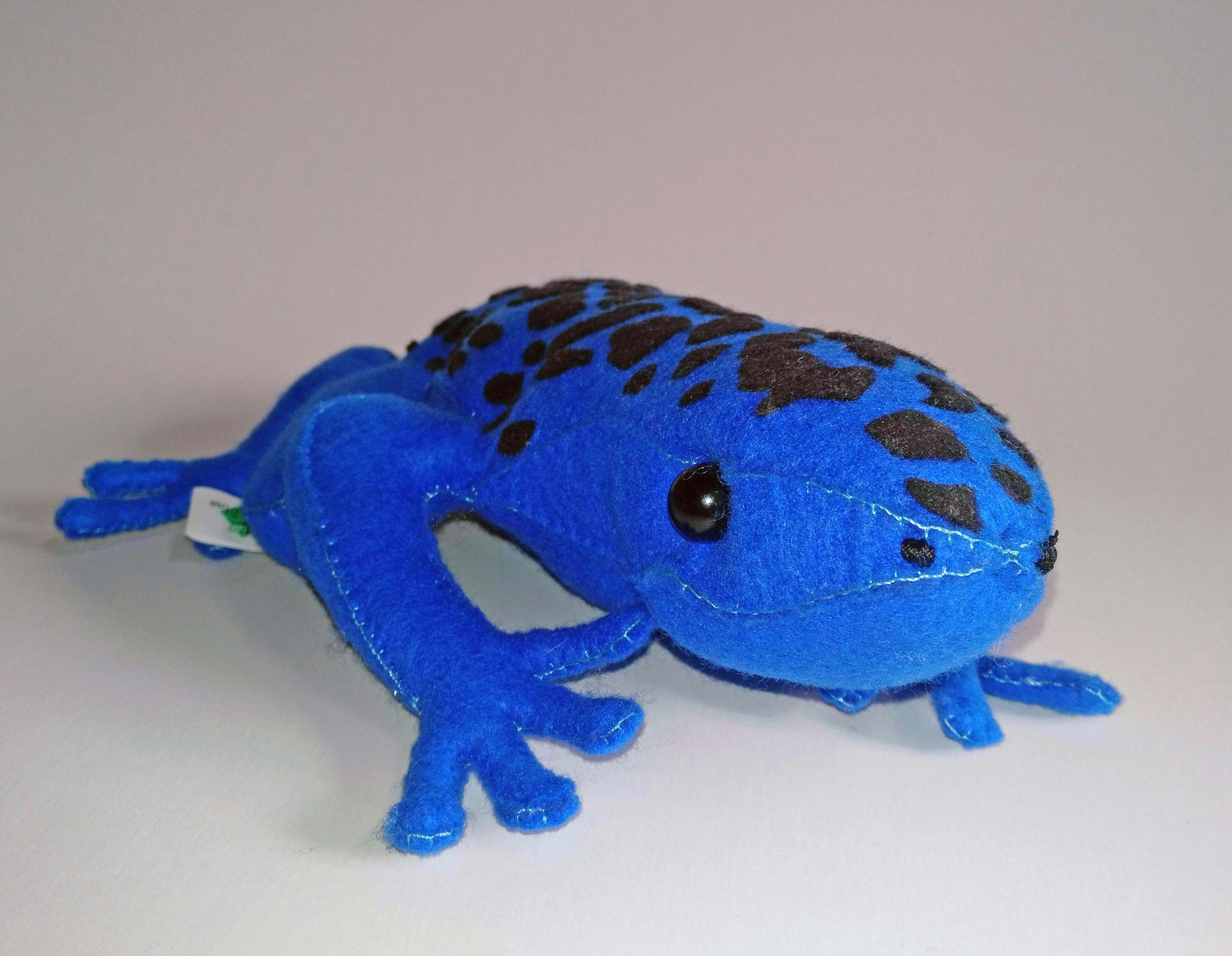 rana venenosa azul