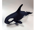 Orca